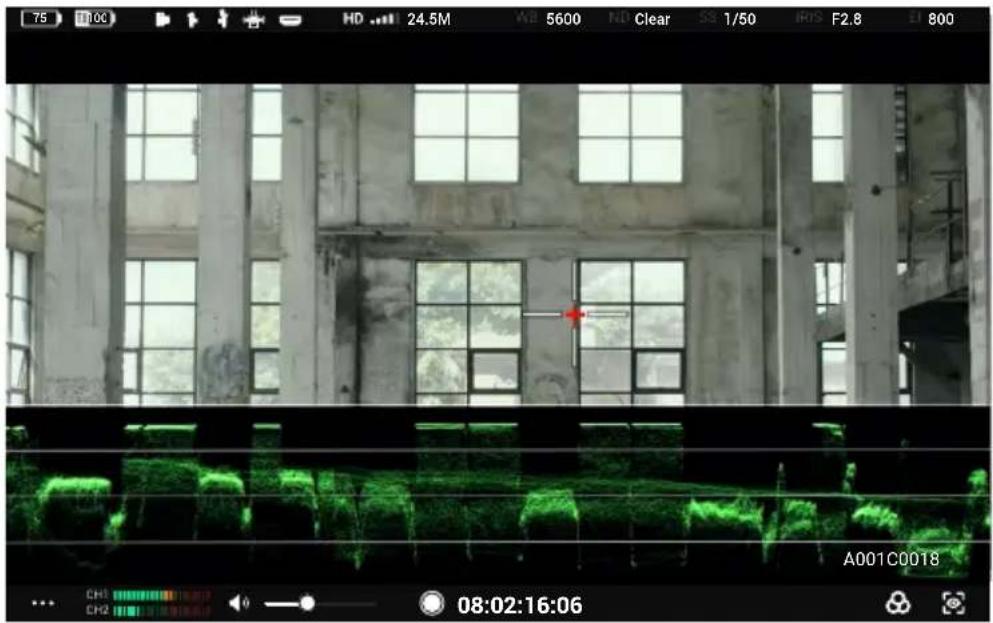 DJI High-Bright Remote Monitor - Impostazioni su Exposure Assistant/Focus Assistant - 3