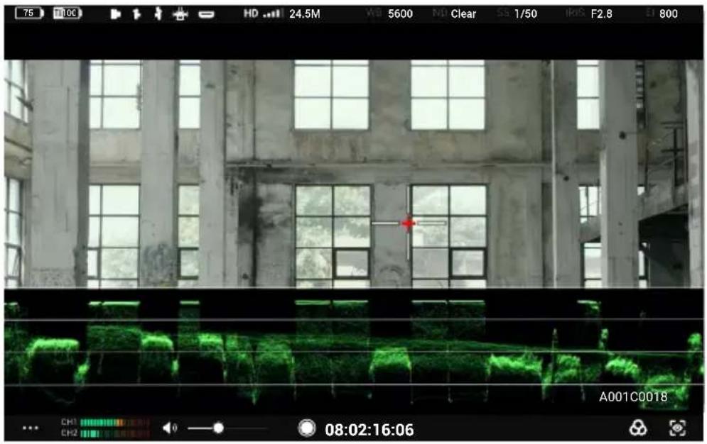 DJI High-Bright Remote Monitor - 曝光辅助 / 对焦辅助设置 - 3