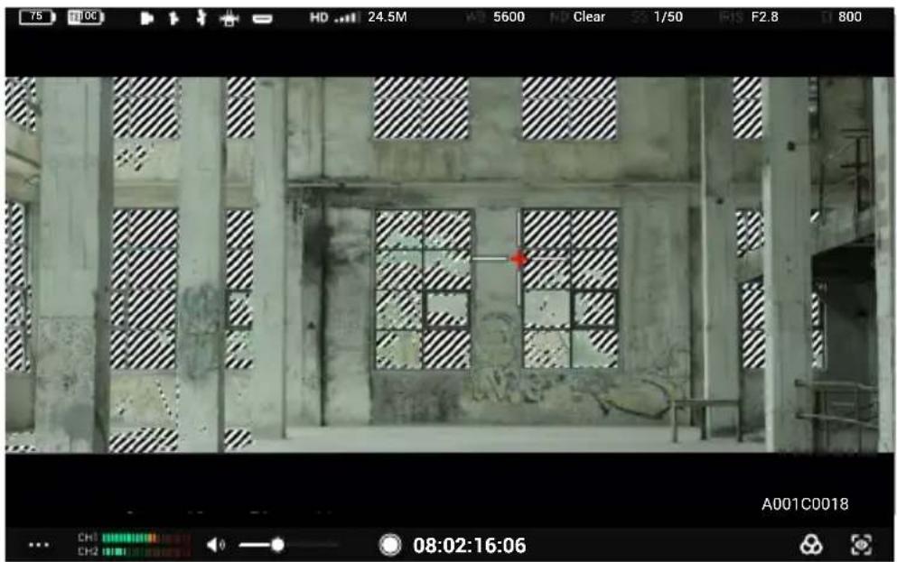 DJI High-Bright Remote Monitor - 노출 보조/포커스 보조 설정 - 2