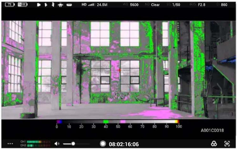 DJI High-Bright Remote Monitor - 曝光辅助 / 对焦辅助设置 - 4