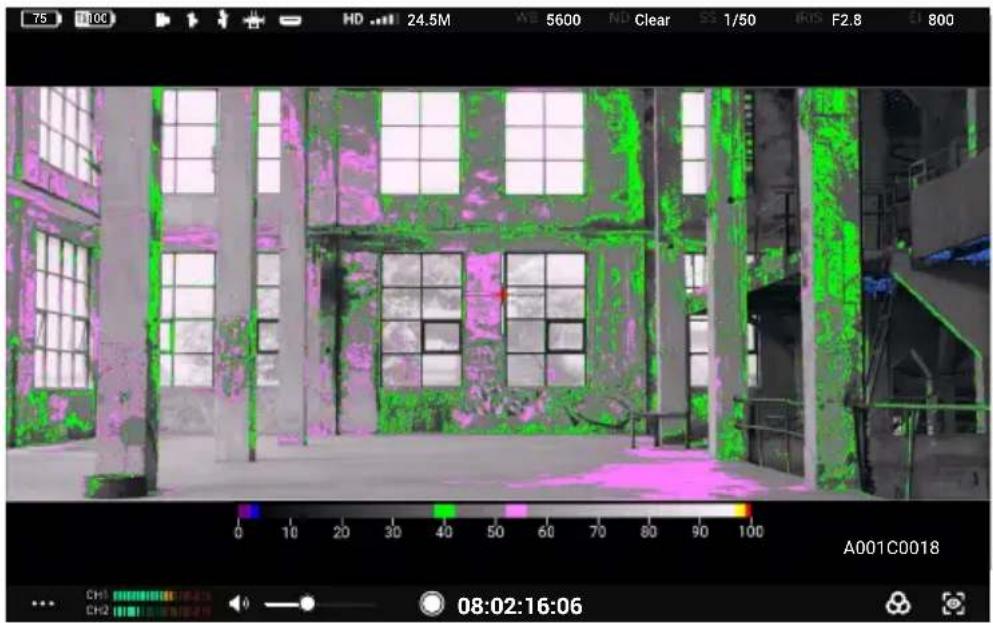 DJI High-Bright Remote Monitor - 曝光輔助/對焦輔助設定 - 4