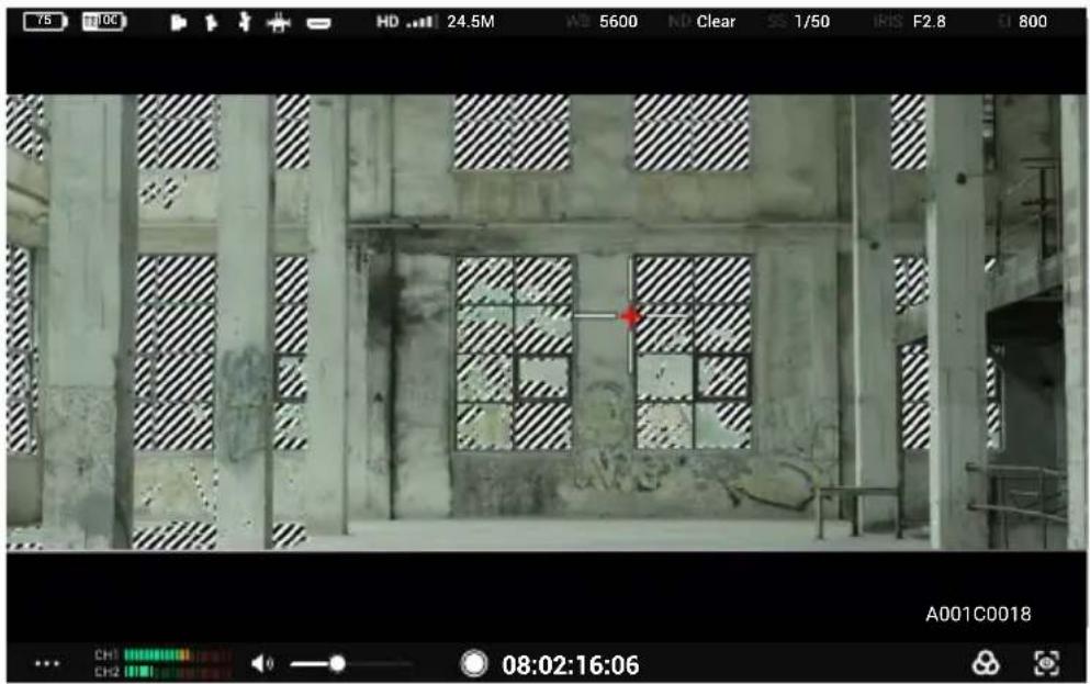 DJI High-Bright Remote Monitor - Instellingen voor belichtingshulp/focushulp - 2