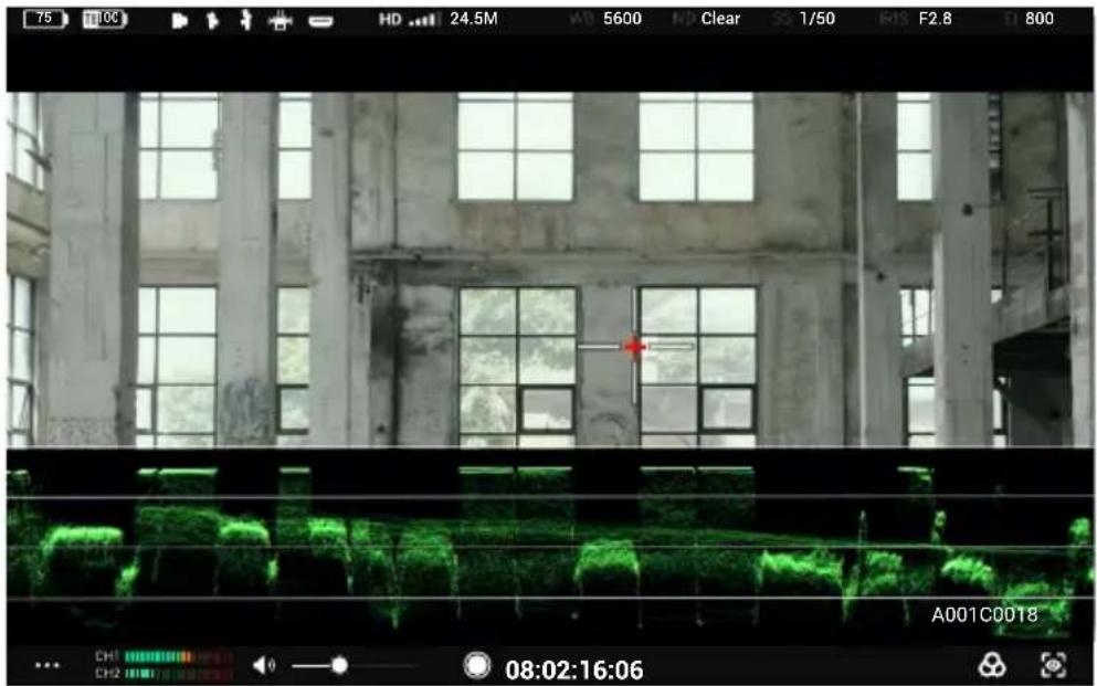 DJI High-Bright Remote Monitor - Einstellungen für Belichtungsassistent/Fokusassistent - 3