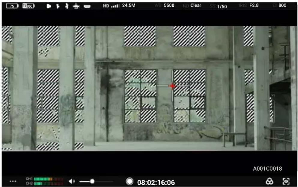 DJI High-Bright Remote Monitor - Configuración de asistente de exposición/asistente de enfoque - 2