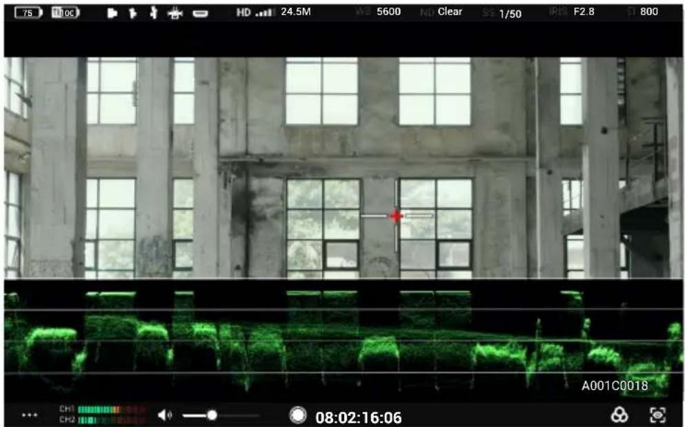 DJI High-Bright Remote Monitor - Configuración de asistente de exposición/asistente de enfoque - 3
