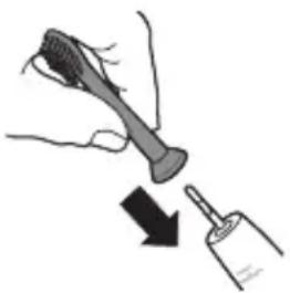 PHILIPS Sonicare 4100 Series HX3689 - Fixation de la tête de brosse - 1