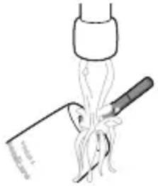 PHILIPS Sonicare 4100 Series HX3689 - Tandbørstens skaft - 1