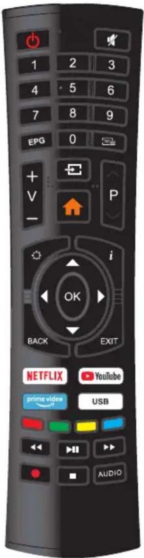 Smart Tech SMT50F30UV2M1B1 - Télécommande - 1