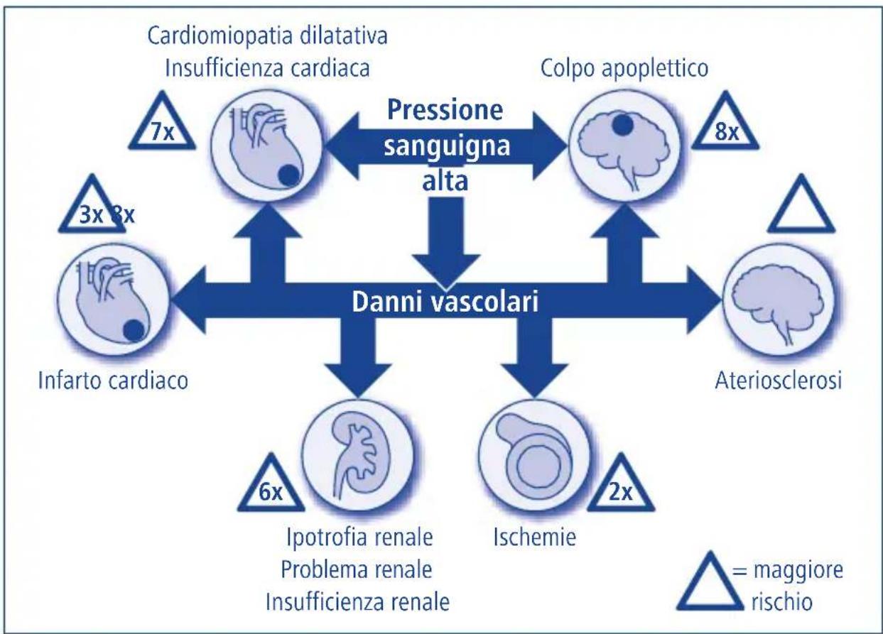 Hartmann Tensoval duo control Large - Importanza dell'automisurazione della pressione sanguigna - 1