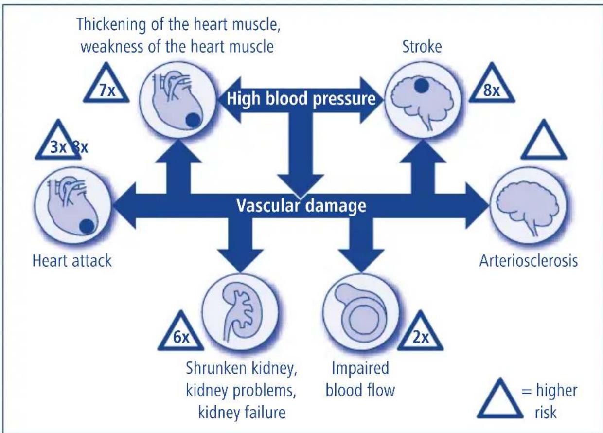 Hartmann Tensoval duo control Large - Importance of self-measurement of blood pressure - 1