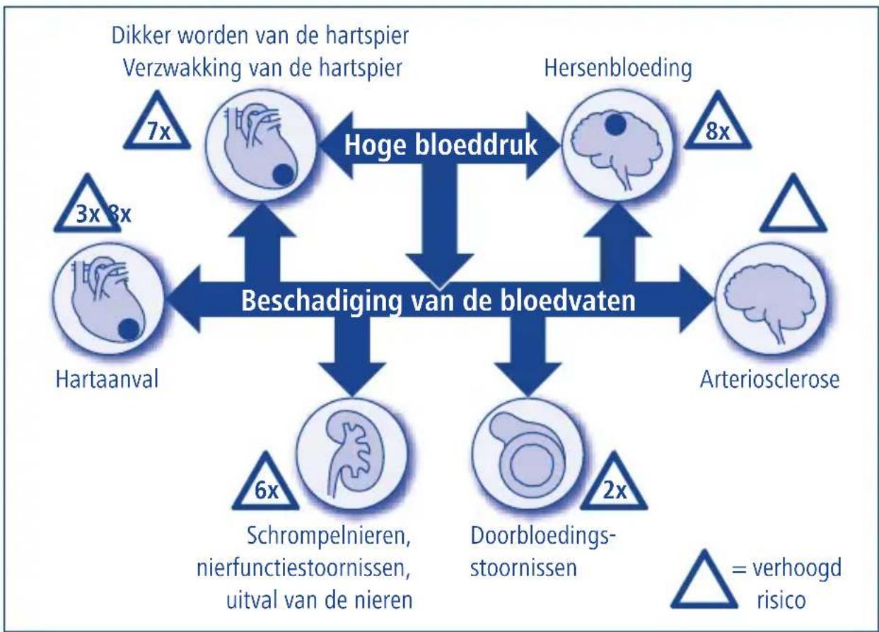 Hartmann Tensoval duo control Large - Het belang van zelfmeting van de bloeddruk - 1