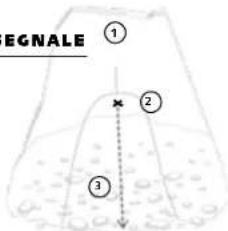 Pieps DSP Pro - MODALITÀ SEARCH | RICERCA DEL SEGNALE - 1