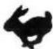 TORO 38054 - GLOSSAIRE DES PICTOGRAMMES - 3
