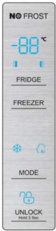 HISENSE RS677N4ACC - Controllo della temperatura - 1