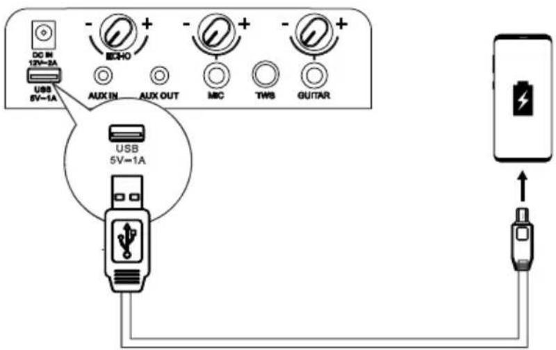 HISENSE Party Rocker One Plus - Ładowanie z portu USB - 1