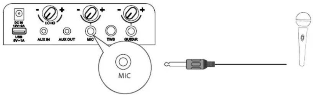 HISENSE Party Rocker One Plus - Conexiuni - 1