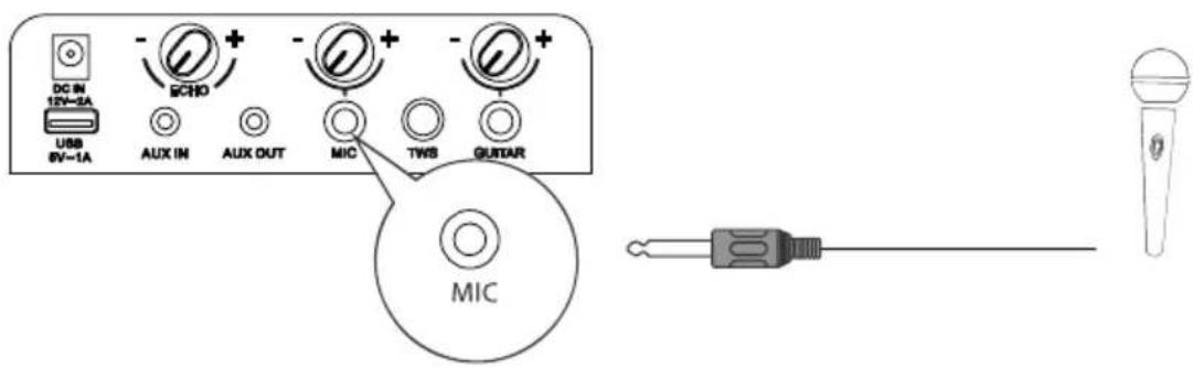 HISENSE Party Rocker One Plus - Connexions - 1