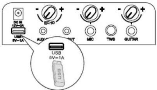 HISENSE Party Rocker One Plus - Obstuga USB - 1
