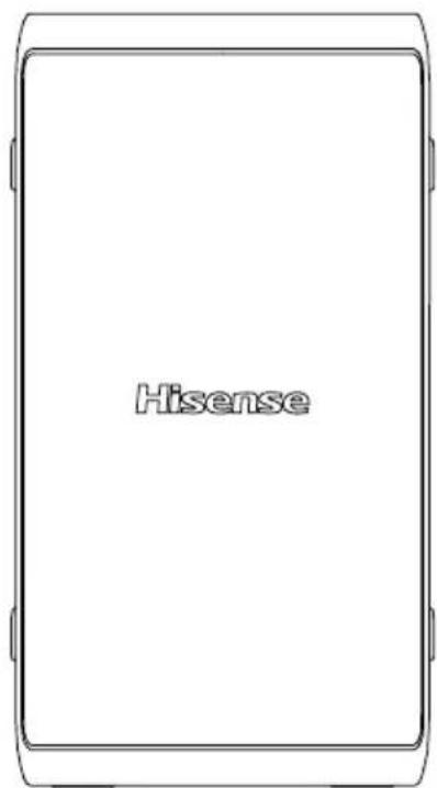 HISENSE Party Rocker One Plus - Continutul pachetului - 1