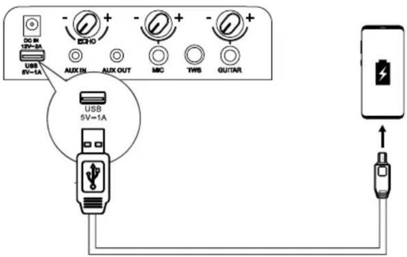 HISENSE Party Rocker One Plus - Charging from the USB Port - 1