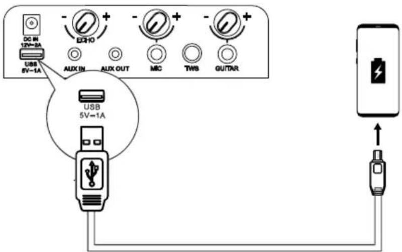 HISENSE Party Rocker One Plus - Karikimi nga porta USB - 1