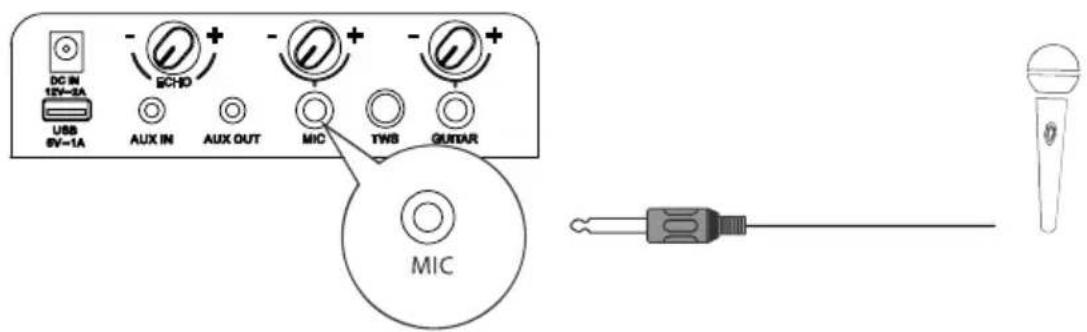HISENSE Party Rocker One Plus - Connections - 1