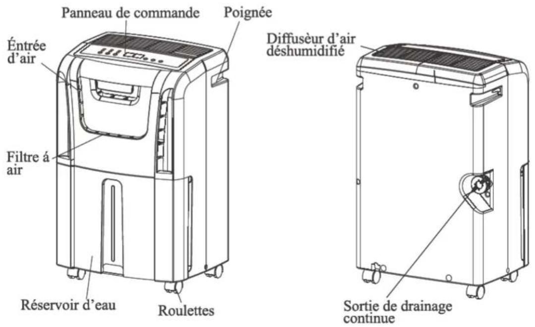 Panneau de commande Étrée d'air Poignée Diffusèur d'air déshumidifié Filtre à air Réservoir d'eau Roulettes Sortie de drainage continue