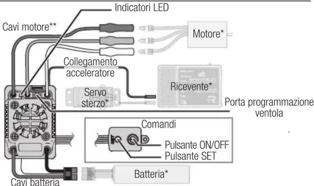 SPEKTRUM Firma 160A - Schema di cablaggio - 1