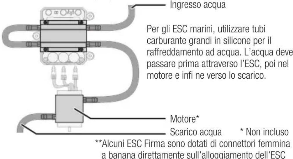 SPEKTRUM Firma 160A - Raffreddamento ad acqua per le versioni marine - 1