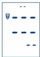 UEBE Visomat double comfort - Löschen von Daten - 1