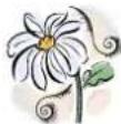 Mr. Gardener Valentine - General information - 1