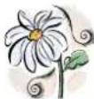 Mr. Gardener Caroline - In generale - 1