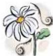 Mr. Gardener Caroline - Algemene informatie - 1