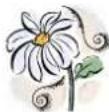 Mr. Gardener Caroline - General information - 1
