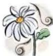 Mr. Gardener Caroline - Generelles - 1