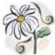 Mr. Gardener Caroline - Generelt - 1