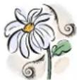 Mr. Gardener Caroline - Generell informasjon - 1