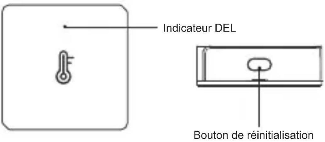 Sonoff SNZB-02 - Présentation du produit - 1