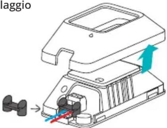 Sonoff Basic R3 - Istruzioni per il cablaggio - 1