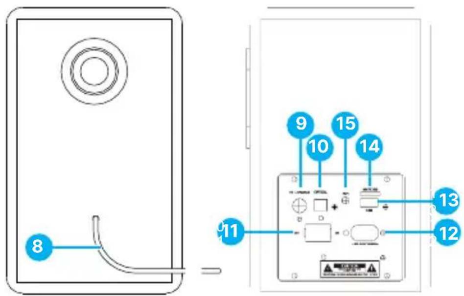 Majority D40 - BACK VIEW - 1