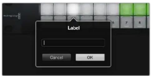 Blackmagic Design Videohub Master Control Pro - Creating Button Labels - 1
