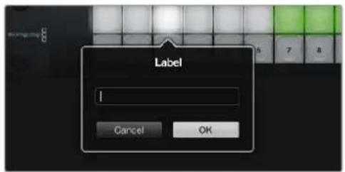 Blackmagic Design Videohub Smart Control Pro - 创建按钮标签 - 1