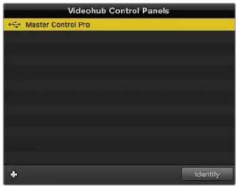 Blackmagic Design Videohub Smart Control Pro - Ajustes de red - 2