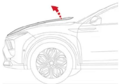 CITROEN C5 X (2024) - Airbags rideaux - 1