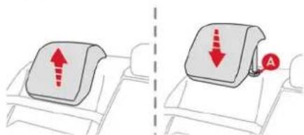 CITROEN C5 X (2024) - Banquette arrière - 1