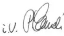Flex CS 45 18.0-EC C - CE-Declaration of Conformity - 1