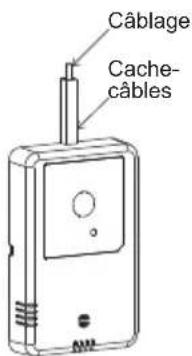 Câblage Cache- câbles