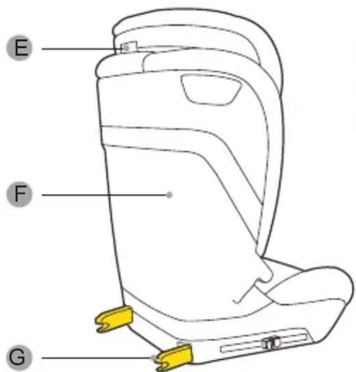 Burigotto Avante - Each component - 2