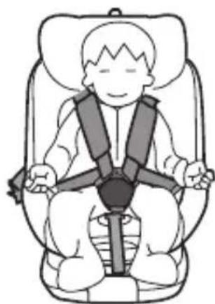 Burigotto Boavista Spin - 5-point harness system to install the child - 2