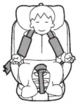 Burigotto Boavista Spin - 5-point harness system to install the child - 1